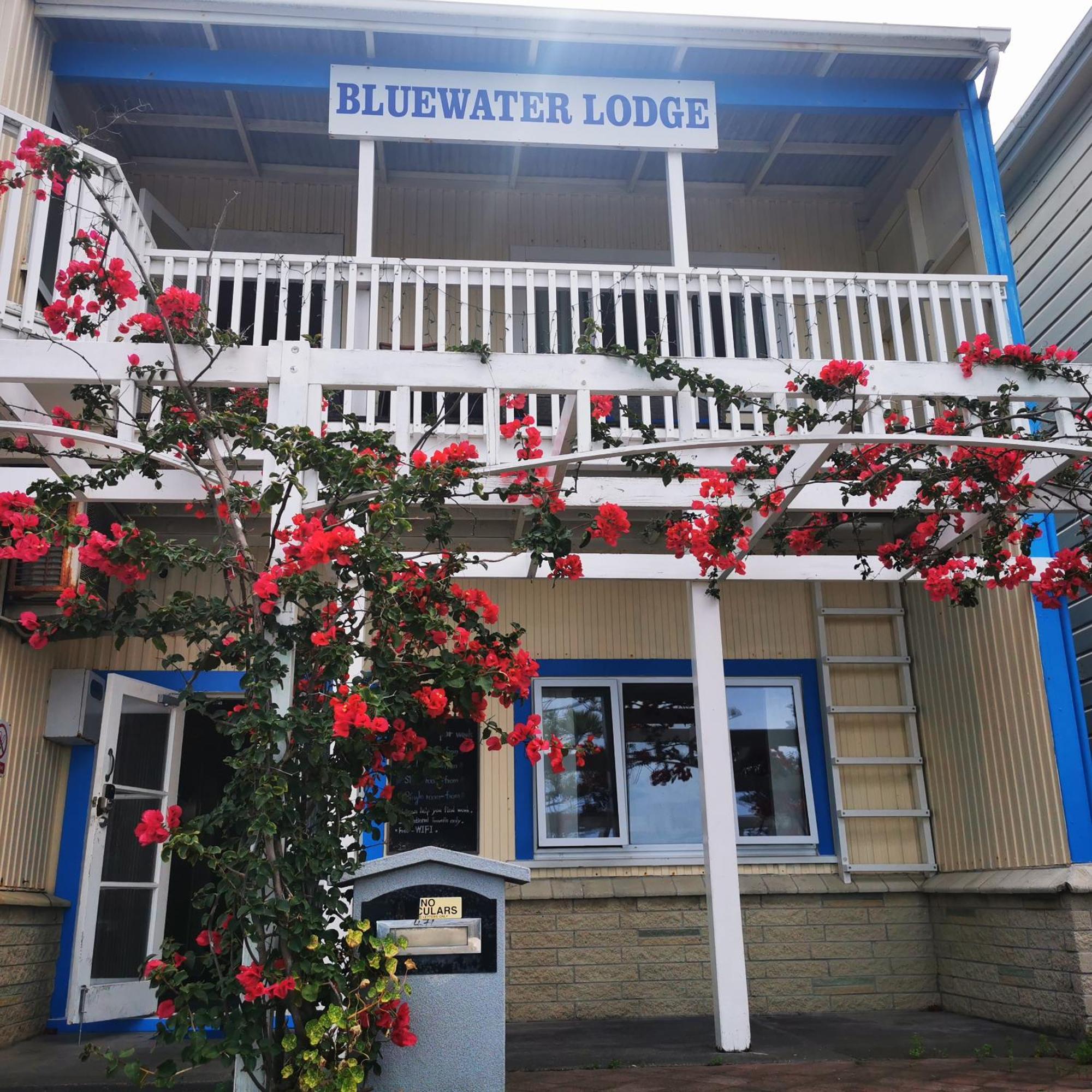 Bluewater Lodge Napier Eksteriør bilde